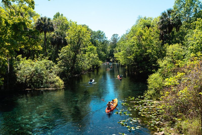 People kayaking at Silver Springs State Park