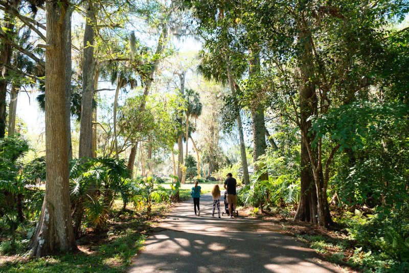 A family walking through the botanical garden area at Silver Springs