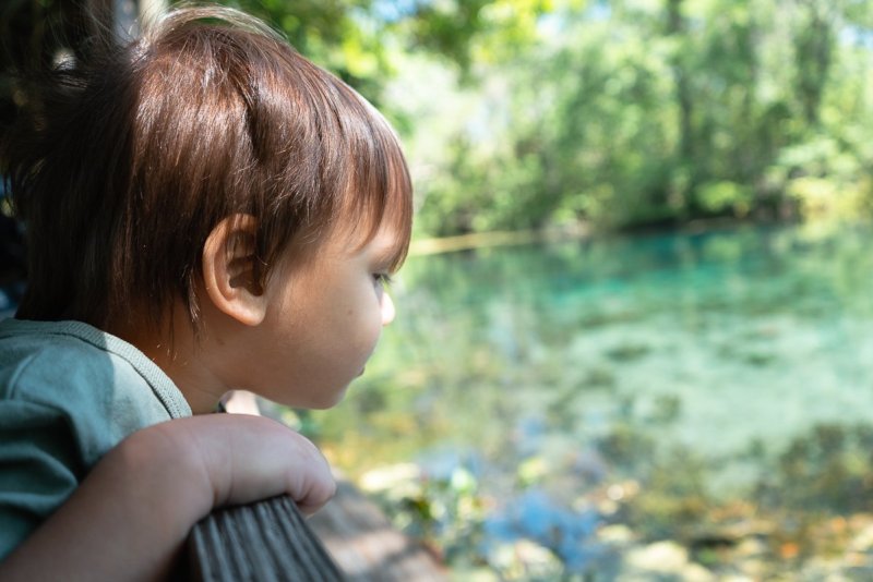 A little boy looking at the crystal clear water at Silver Springs. 