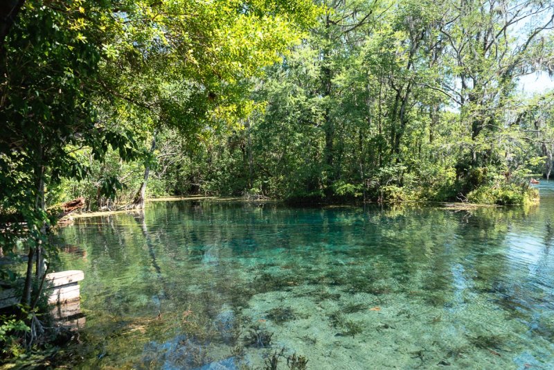 Silver Springs water