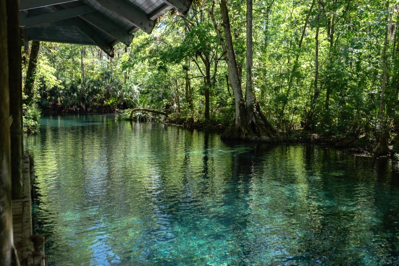 View from the pavillion to Silver Springs' crystal clear water. 