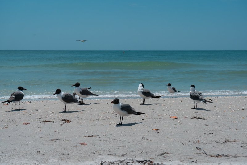 Beach at Treasure Island, Florida.