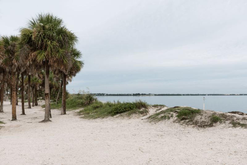 fred howard park tarpon springs florida