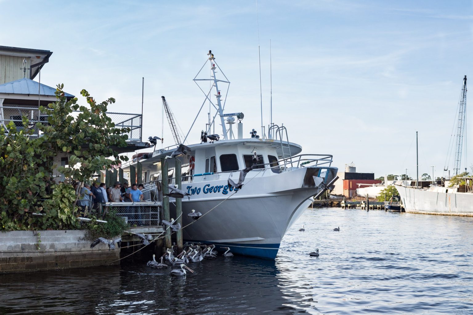 boat tours at tarpon springs