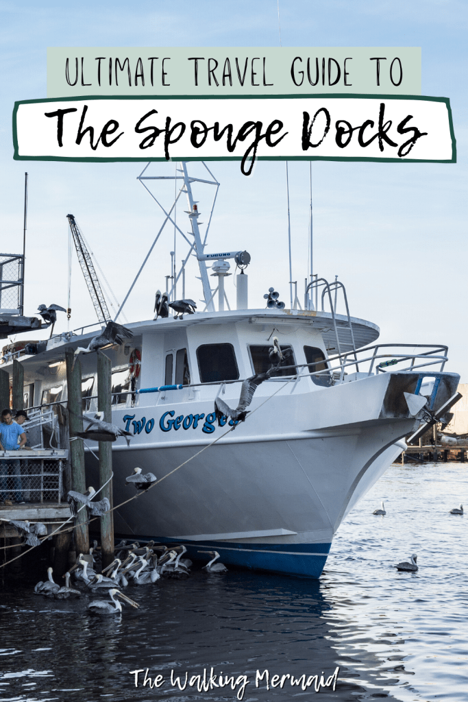 Boat tour at The Sponge Docks at Tarpon Springs, Florida