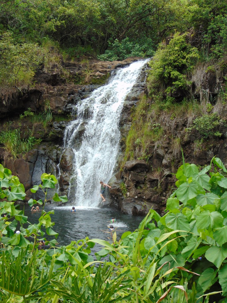 Waimea Falls with people swimming at the waterfall. Posted on a travel guide that features the best things to do with kids on Oahu, Hawaii. 