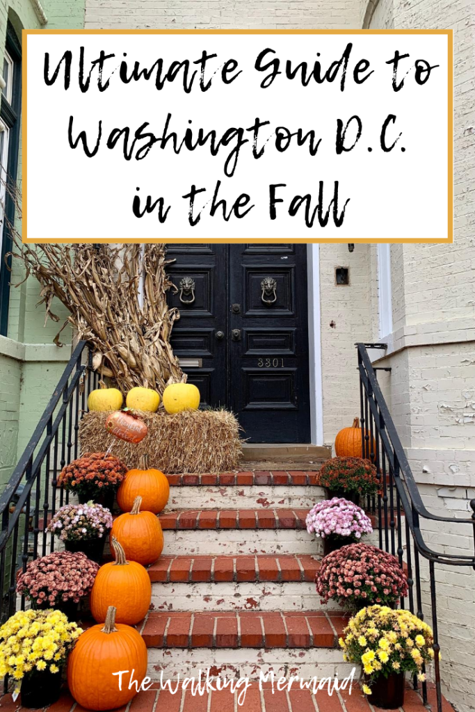 washington dc in the fall season autumn door step with pumpkin and fall flowers