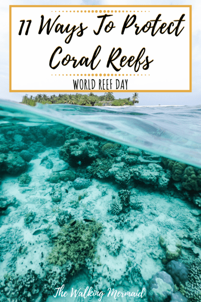 coral reefs water ocean beach protect environment awareness overlay