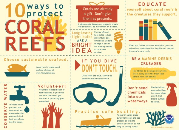 coral reef infographic world reef day