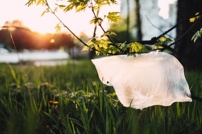 single use plastic found in nature eco friendly plastic bag