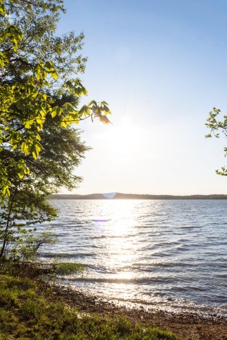 Piney campground land between the lakes