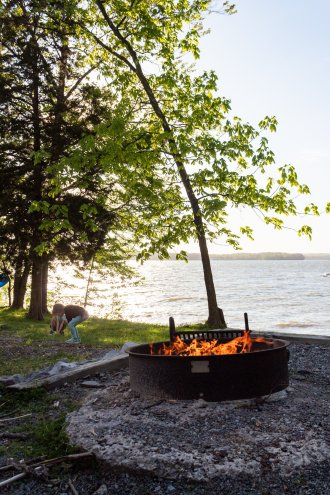 Piney campground land between the lakes