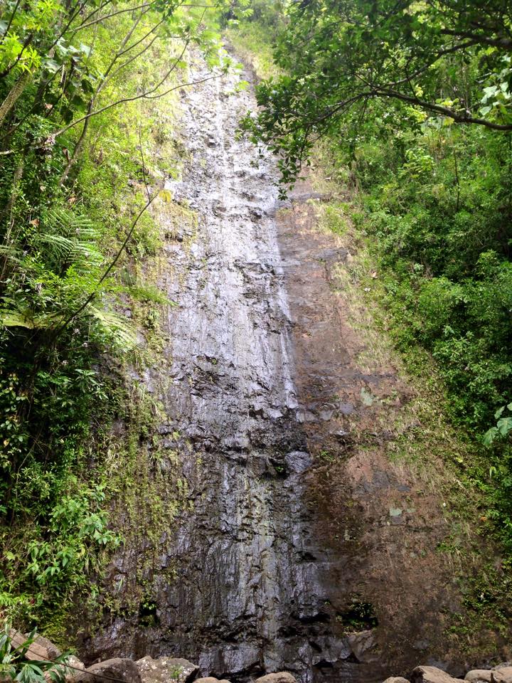 Manoa Falls hike in Honolulu, Hawaii. Beginner friendly hikes in Oahu, Hawaii. 