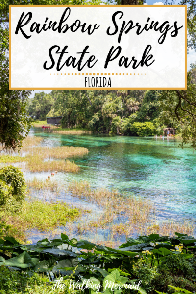 rainbow springs state park florida pin image pinterest overlay 