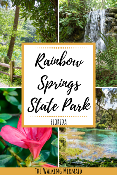 rainbow springs state park florida pin image pinterest overlay