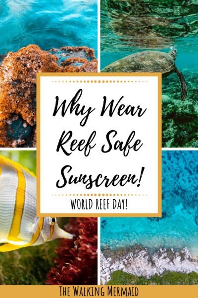 reef safe sunscreen marine life ocean coral overlay pinterest pin