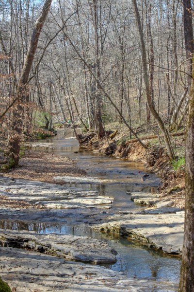 river stream flowing through rocks nature rotary park clarksville tennessee