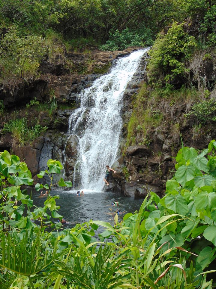 Waimea Valley waterfall on Oahu, Hawai'i. Easy, stroller friendly, and paved hiking trail. Waterfall hikes on Oahu perfect for kids.